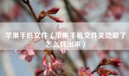 苹果手机文件（苹果手机文件夹隐藏了怎么找出来）