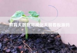 教育大数据可视化大屏看板源码