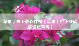 苹果手机下载软件慢（苹果手机下载软件慢正常吗）