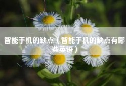 智能手机的缺点（智能手机的缺点有哪些英语）