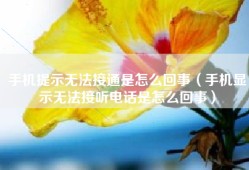 手机提示无法接通是怎么回事（手机显示无法接听电话是怎么回事）