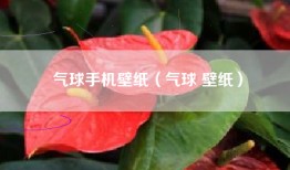 气球手机壁纸（气球 壁纸）