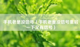 手机老是没信号（手机老是没信号重启一下又有信号）