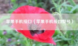 苹果手机接口（苹果手机接口型号）