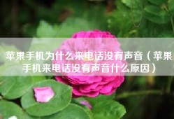 苹果手机为什么来电话没有声音（苹果手机来电话没有声音什么原因）