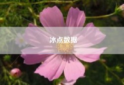 冰点数据