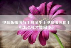 电脑版微信与手机同步（电脑微信和手机怎么样才能同步）