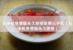 云手机免费版永久使用免费云手机「云手机免费版永久使用」