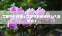 苹果手机保修（苹果手机保修期内去哪里修）