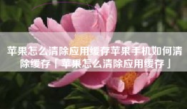 苹果怎么清除应用缓存苹果手机如何清除缓存「苹果怎么清除应用缓存」