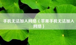 手机无法加入网络（苹果手机无法加入网络）