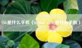 5G是什么手机（realme q2 5g是什么手机）