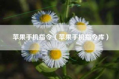 苹果手机指令（苹果手机指令库）