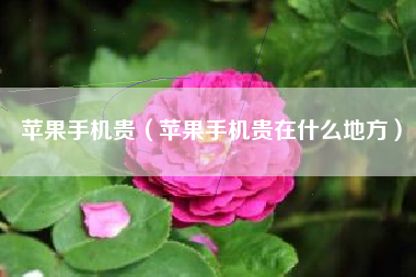 苹果手机贵（苹果手机贵在什么地方）