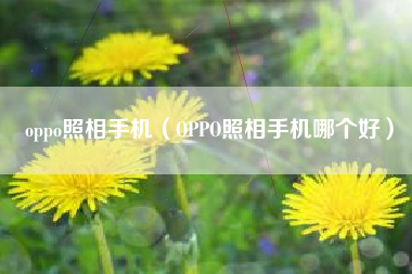 oppo照相手机（OPPO照相手机哪个好）