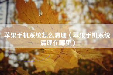 苹果手机系统怎么清理（苹果手机系统清理在哪里）