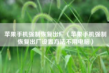 苹果手机强制恢复出厂（苹果手机强制恢复出厂设置方法不用电脑）