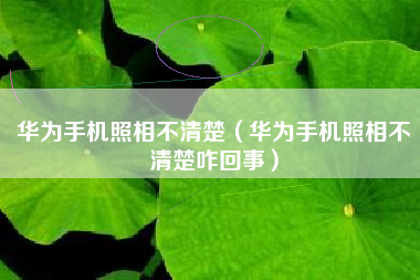 华为手机照相不清楚（华为手机照相不清楚咋回事）