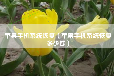 苹果手机系统恢复(苹果手机系统恢复多少钱) 苹果手机系统恢复(苹果手机系统恢复多少钱)