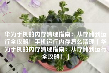 华为手机的内存清理指南：从存储到运行全攻略！手机运行内存怎么清理「华为手机的内存清理指南：从存储到运行全攻略！」