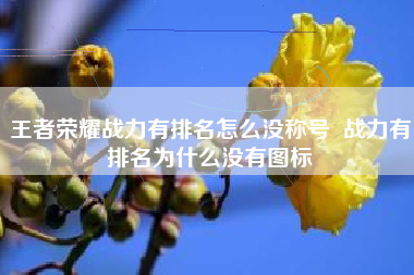 王者荣耀战力有排名怎么没称号  战力有排名为什么没有图标